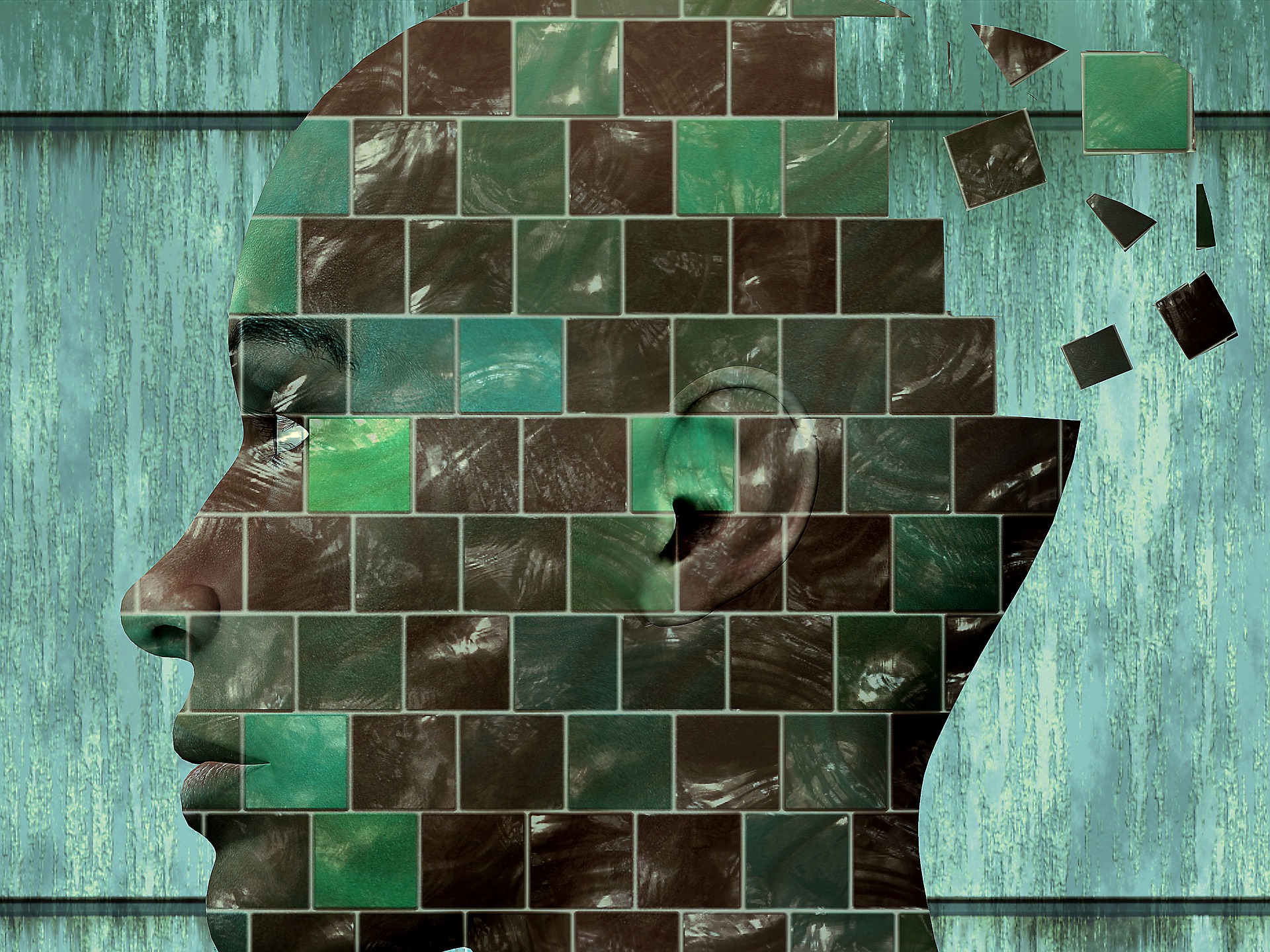 head-2032751_1920